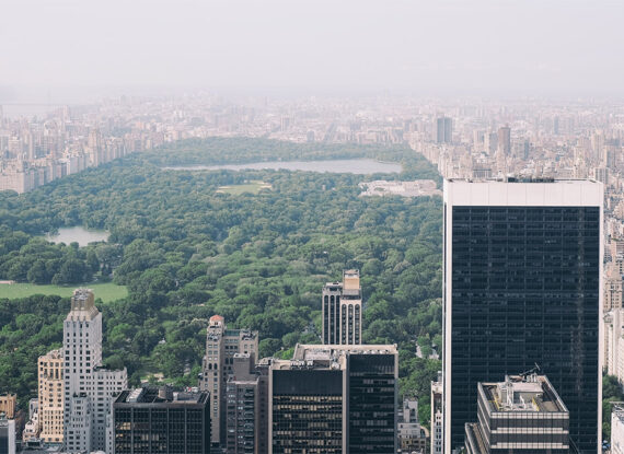 Difference between art and design