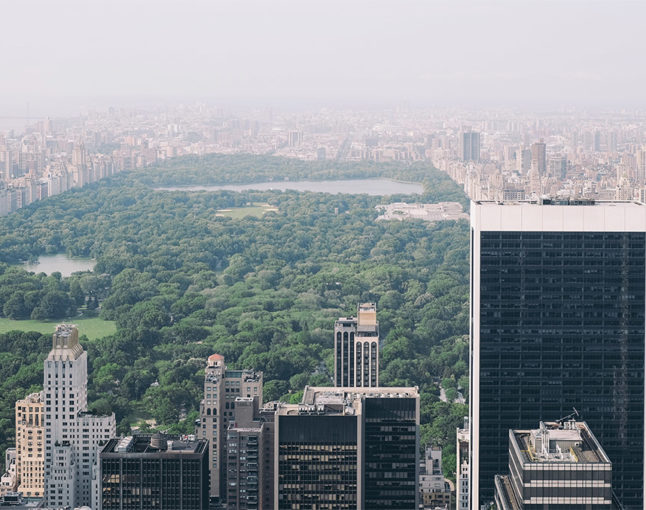 Difference between art and design